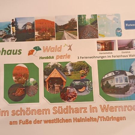 Ferienhaus Waldperle Harzblick Apartment Wernrode Ngoại thất bức ảnh